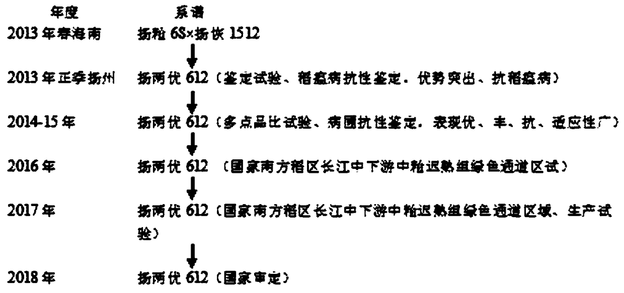 Breeding method for rice-blast-resistant good-quality high-yield two-line hybrid hsien rice combination