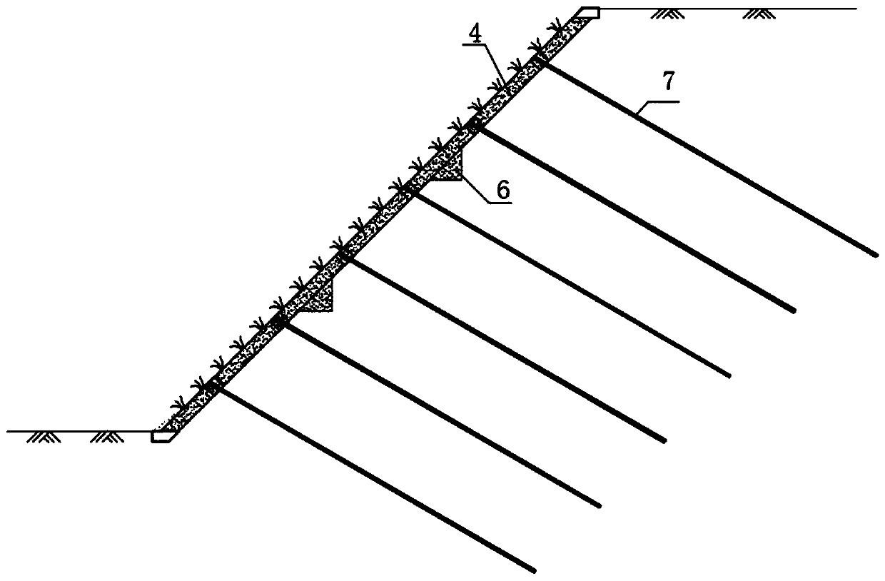 Ecological protection structure for broken rock steep slope and construction method thereof