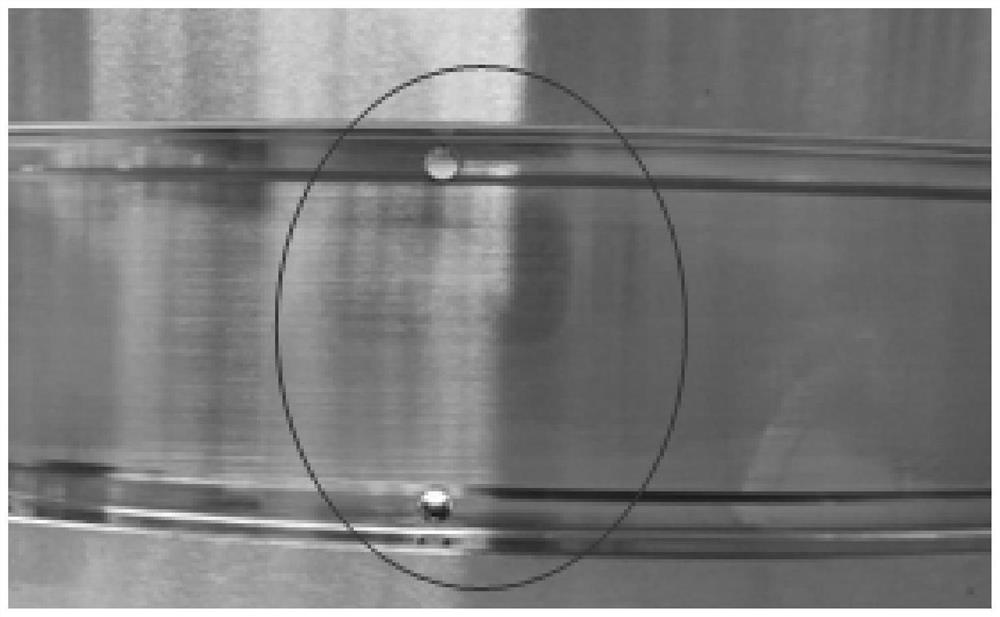 Bearing ring cleaning method