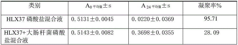 Honey product capable of reducing cholesterol and preparation method thereof