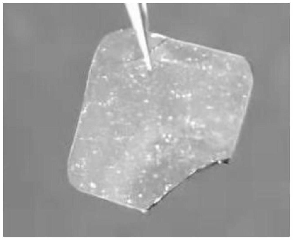 Catalyst for preparing alcohol through methane electro-oxidation and preparation method and application thereof