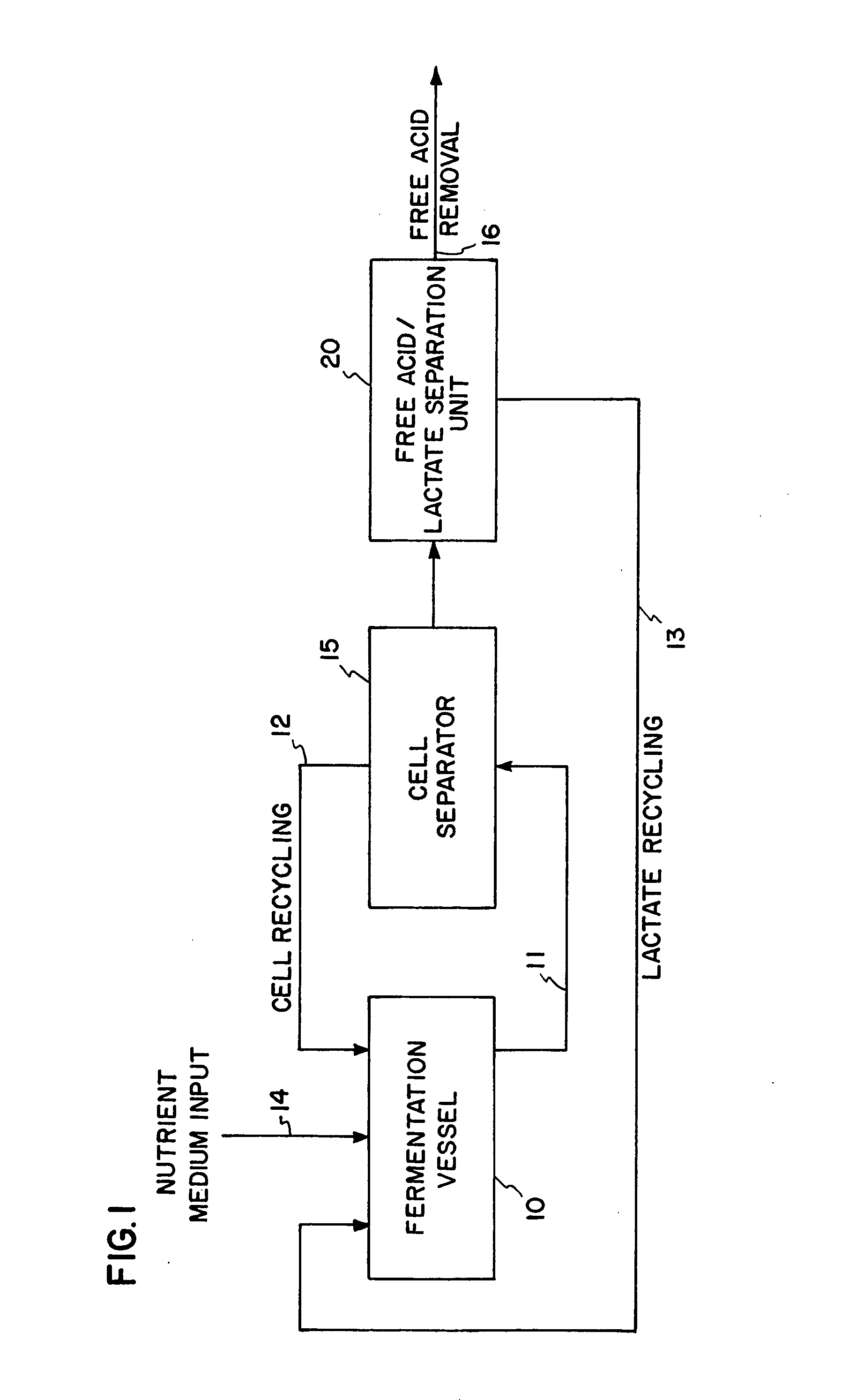 Low pH lactic acid fermentation