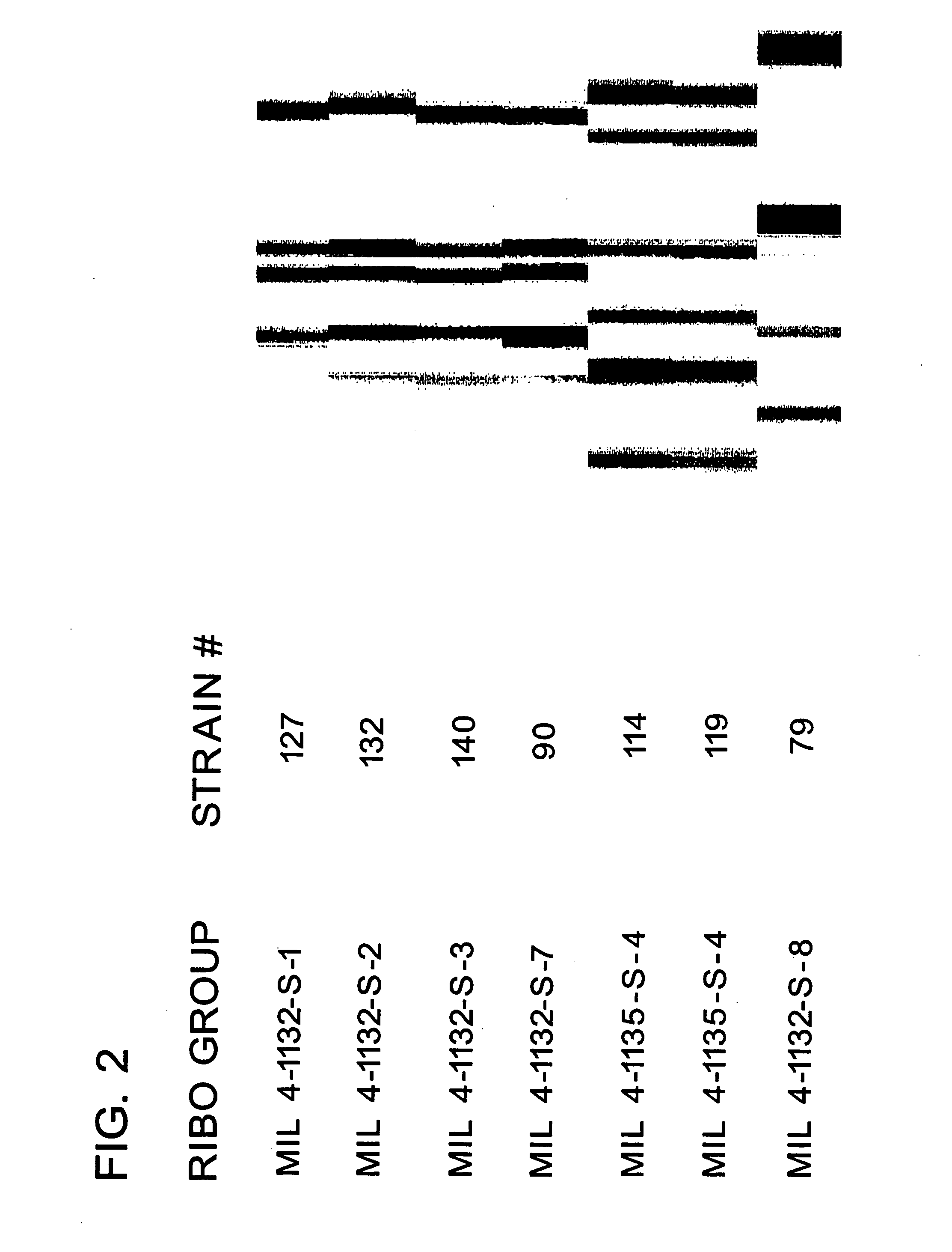 Low pH lactic acid fermentation