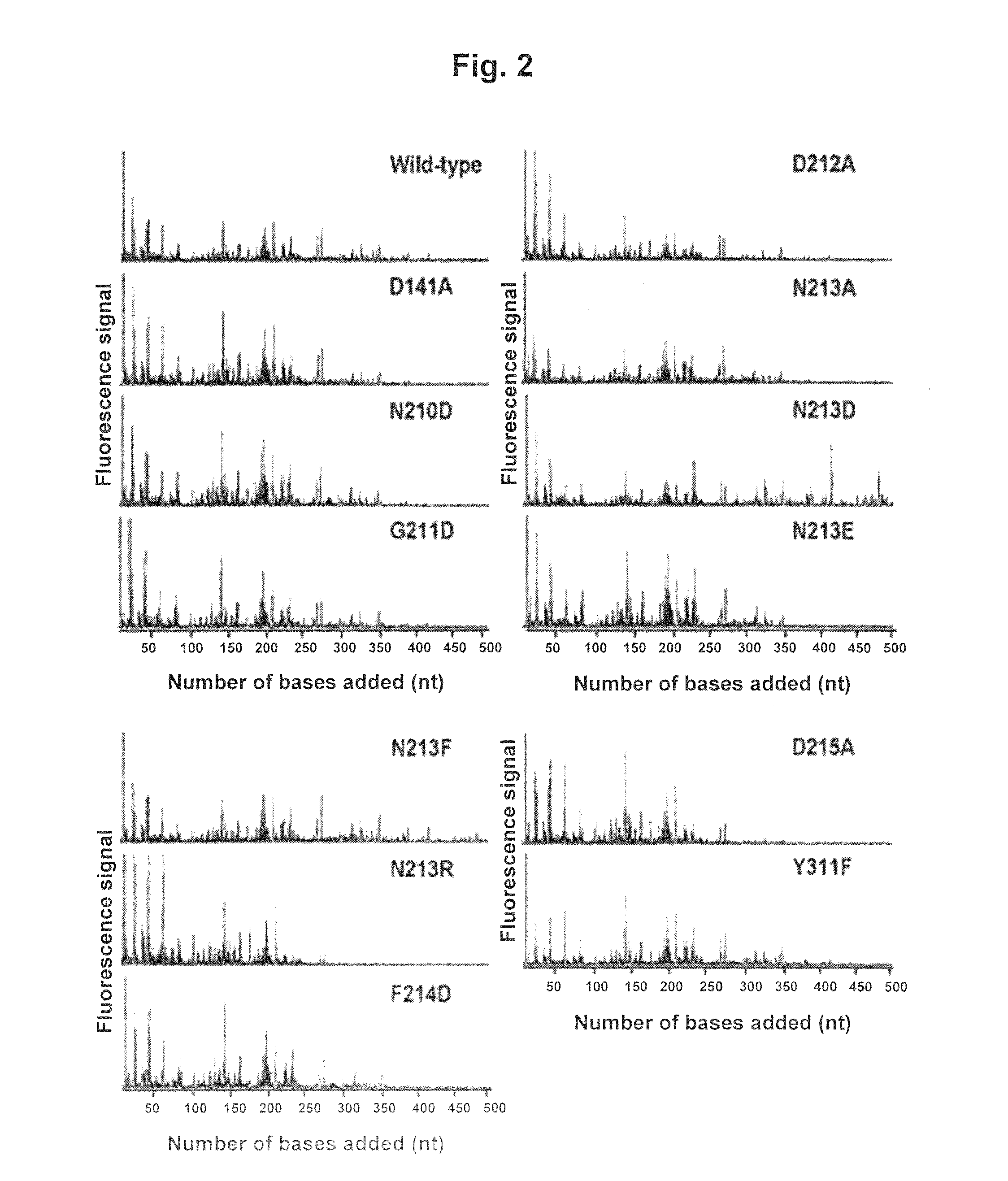 Mutant DNA polymerases and their genes from thermococcus