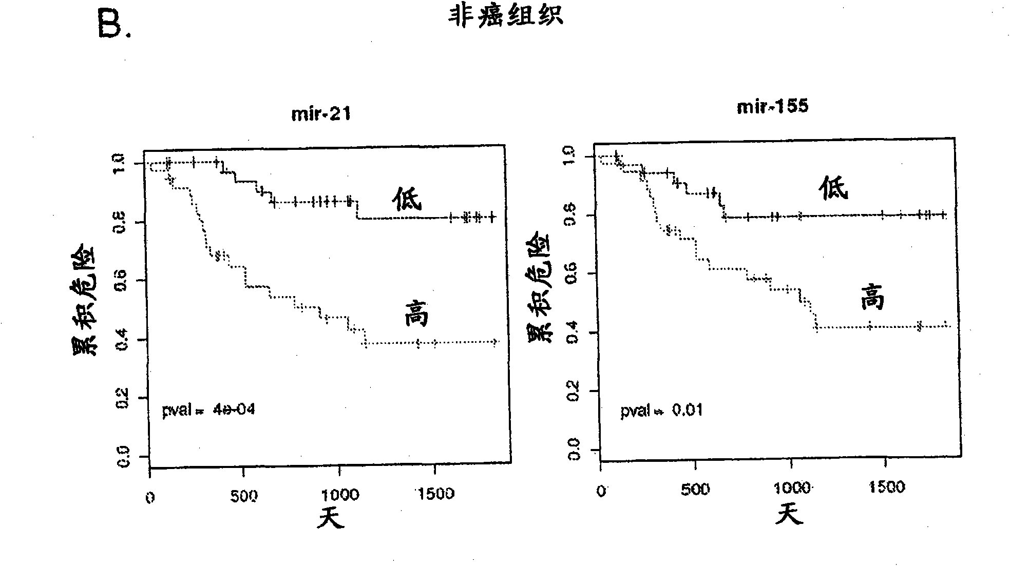 Methods and compositions for the diagnosis and treatment of esphageal adenocarcinomas