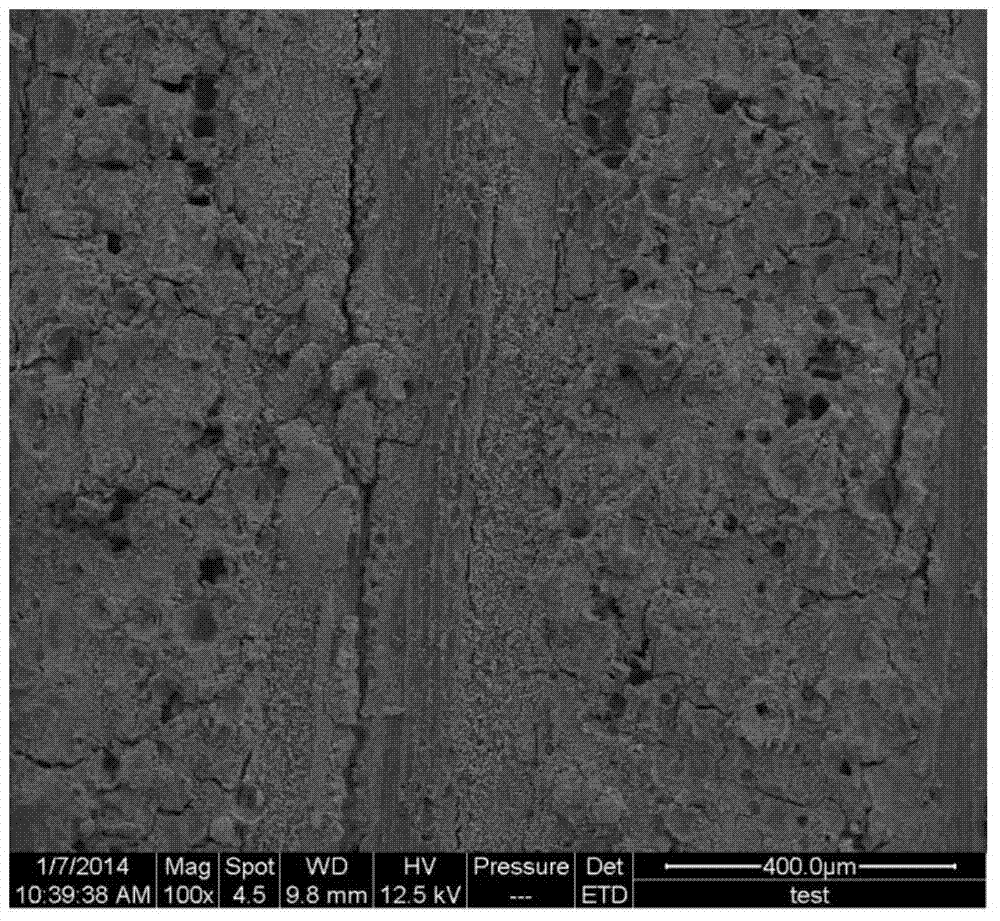 Method for preparing super-amphiphobic nano-film on bamboo surface in bionic way