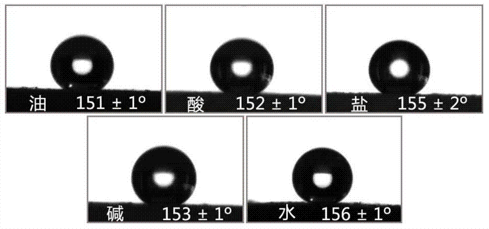 Method for preparing super-amphiphobic nano-film on bamboo surface in bionic way