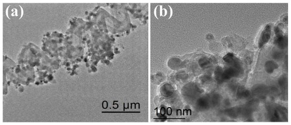 Helical carbon nanocoil/core-shell magnetic nanoparticle composite material, preparation method and application in the field of electromagnetic waves