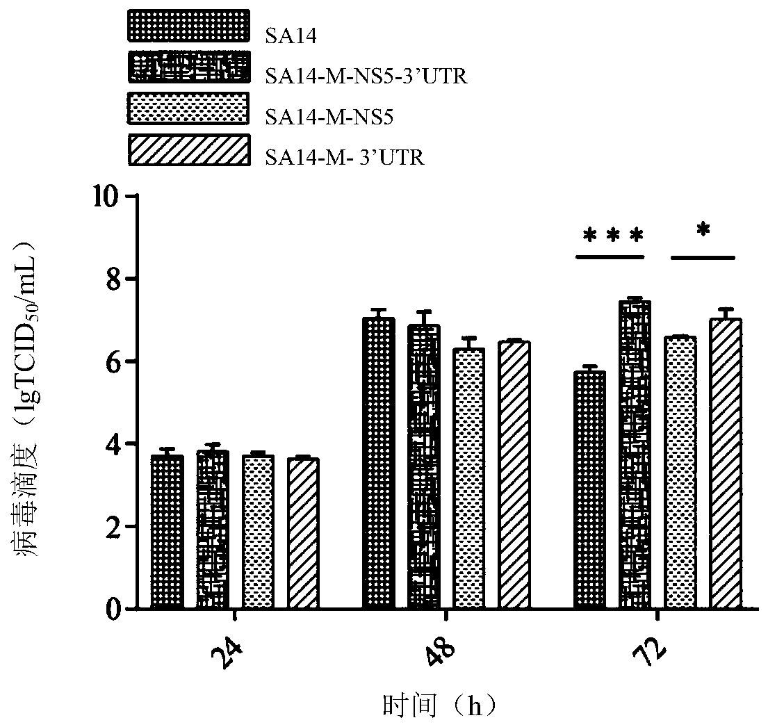 Attenuated JEV (Japanese encephalitis virus) having enhanced replicability, and preparation method and application of attenuated JEV (Japanese encephalitis virus) having enhanced replicability