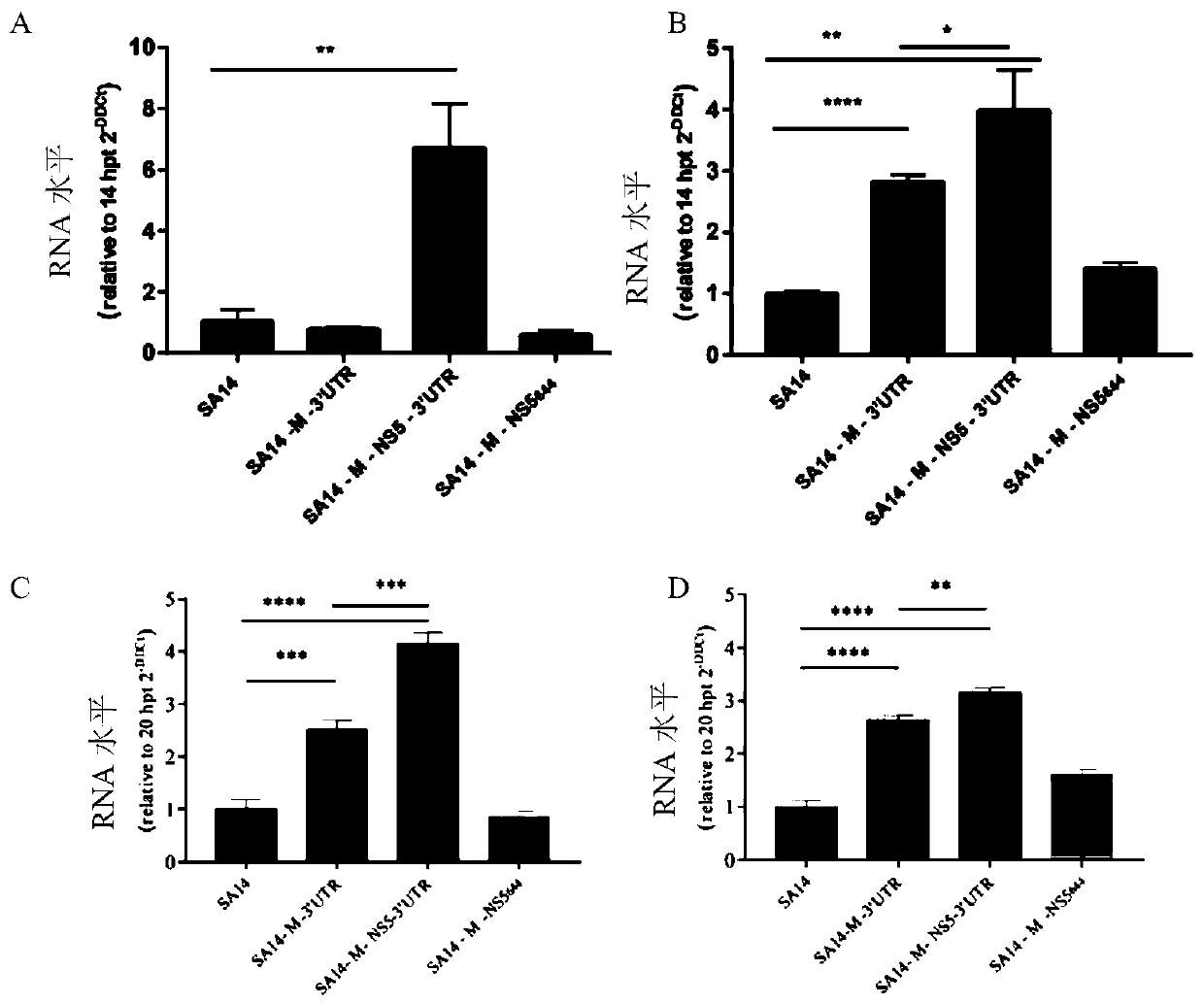 Attenuated JEV (Japanese encephalitis virus) having enhanced replicability, and preparation method and application of attenuated JEV (Japanese encephalitis virus) having enhanced replicability