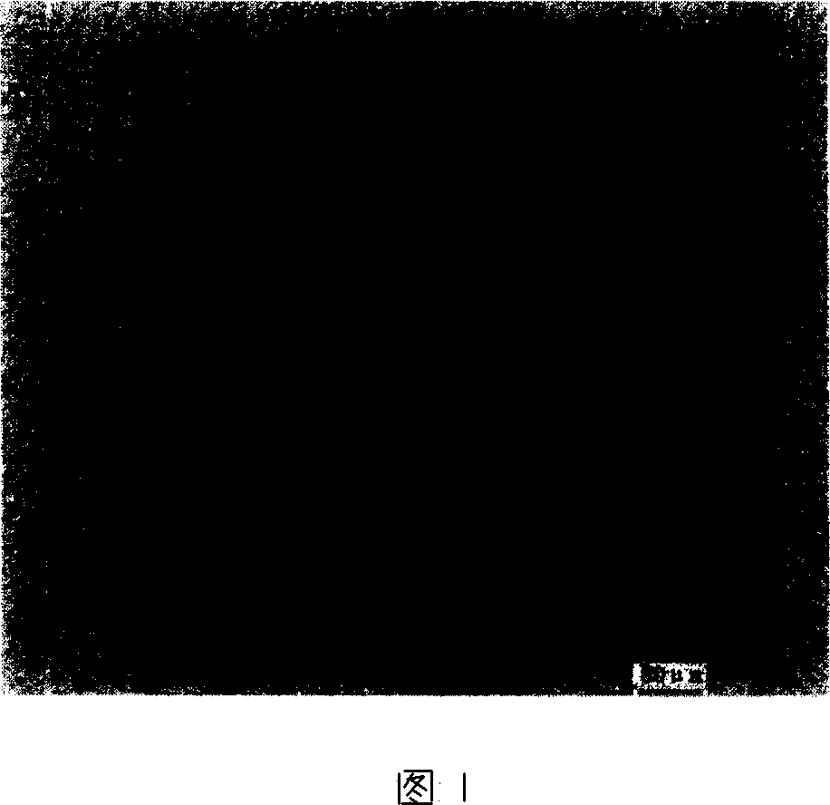 Assistant alloy for Nd-Fe-B permanent magnetic material and its preparation method