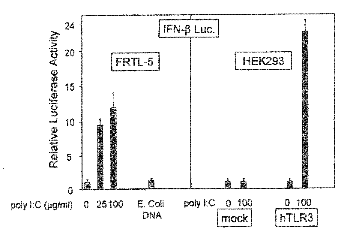 Methods and compositions for the treatment of malignant melanoma, breast, prostate, colon, papillary thyroid and pancreatic cancer