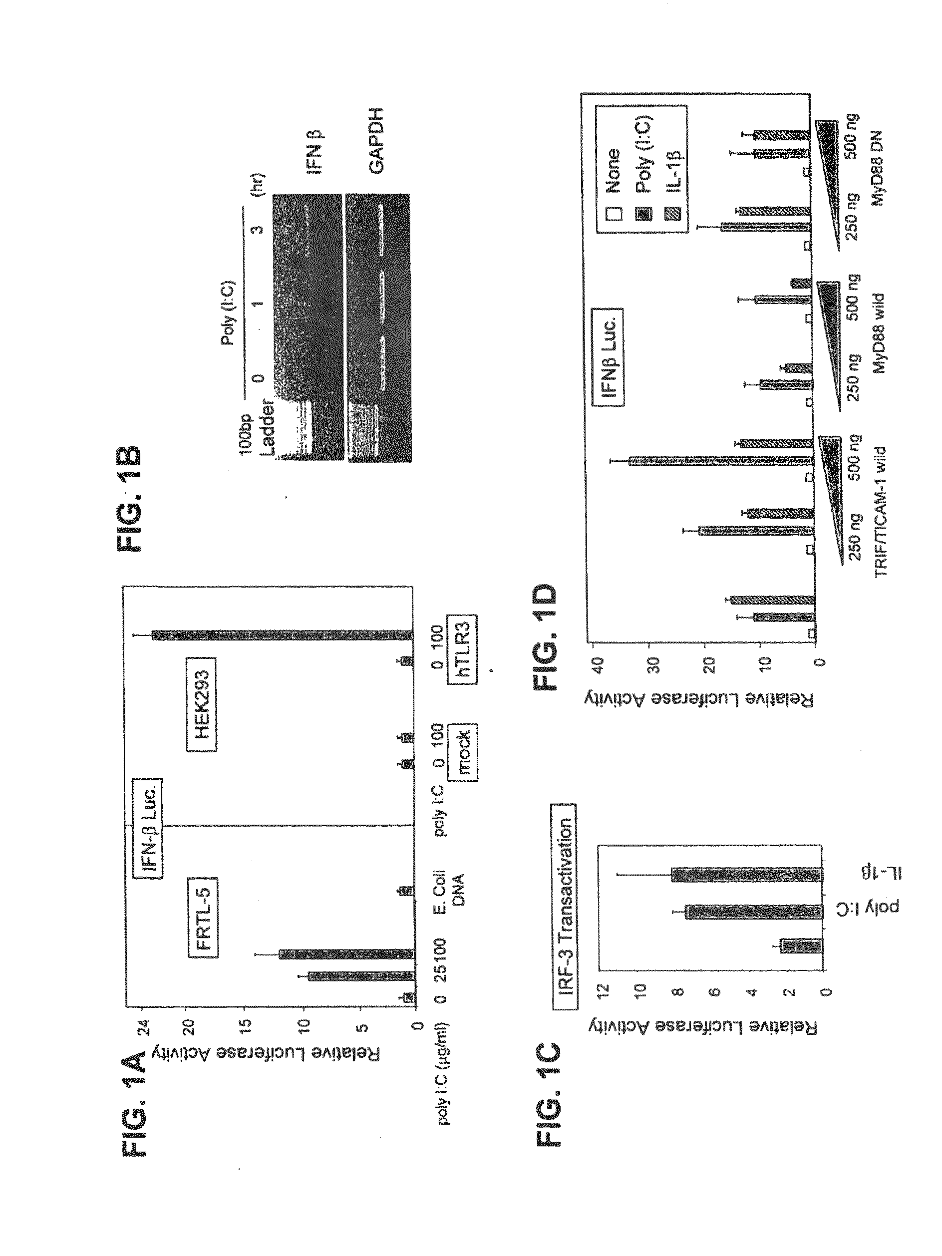 Methods and compositions for the treatment of malignant melanoma, breast, prostate, colon, papillary thyroid and pancreatic cancer