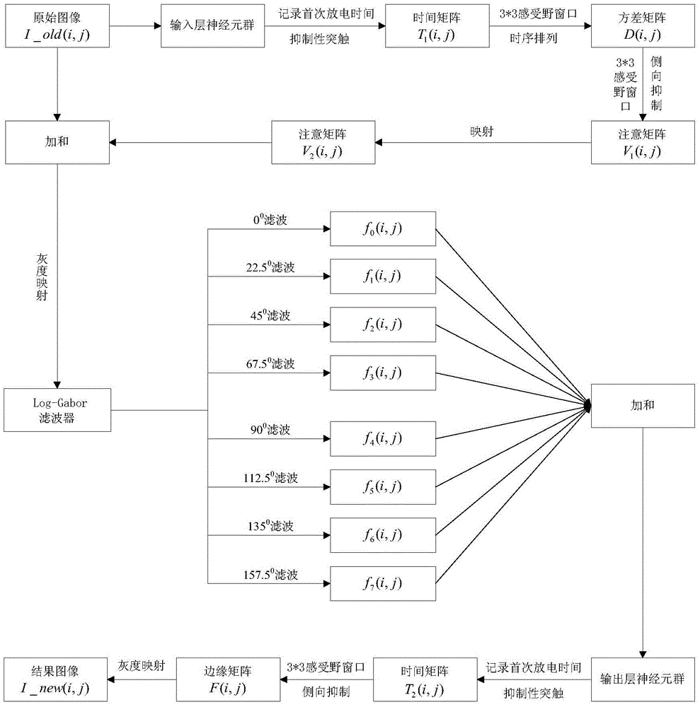 Image weak edge detection method based on multi-layer neuron group firing information