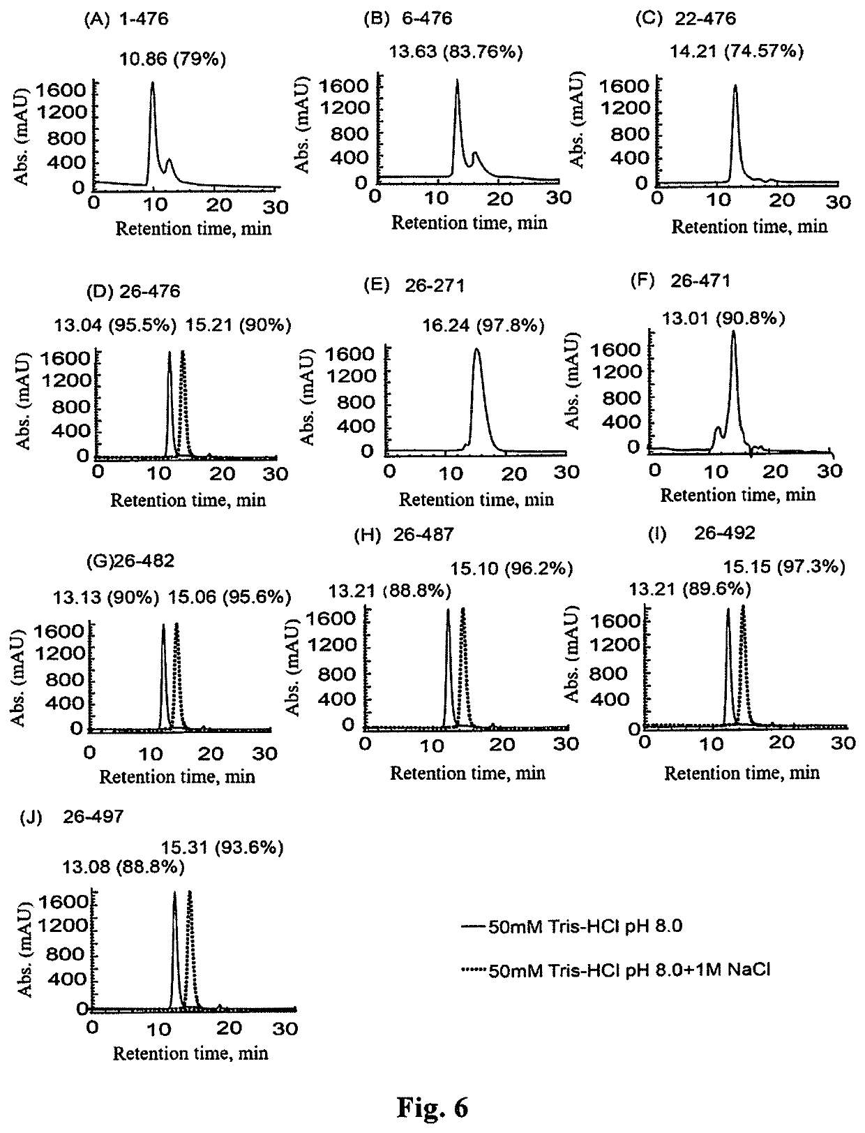 Truncated rotavirus VP4 protein and application thereof