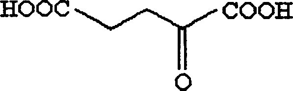 Method for microbial fermentation synthesis of ª‡-ketoglutaric acid