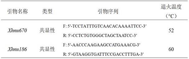 KASP molecular marker co-segregated with powdery mildew resistant gene Pm58 and application of KASP molecular marker