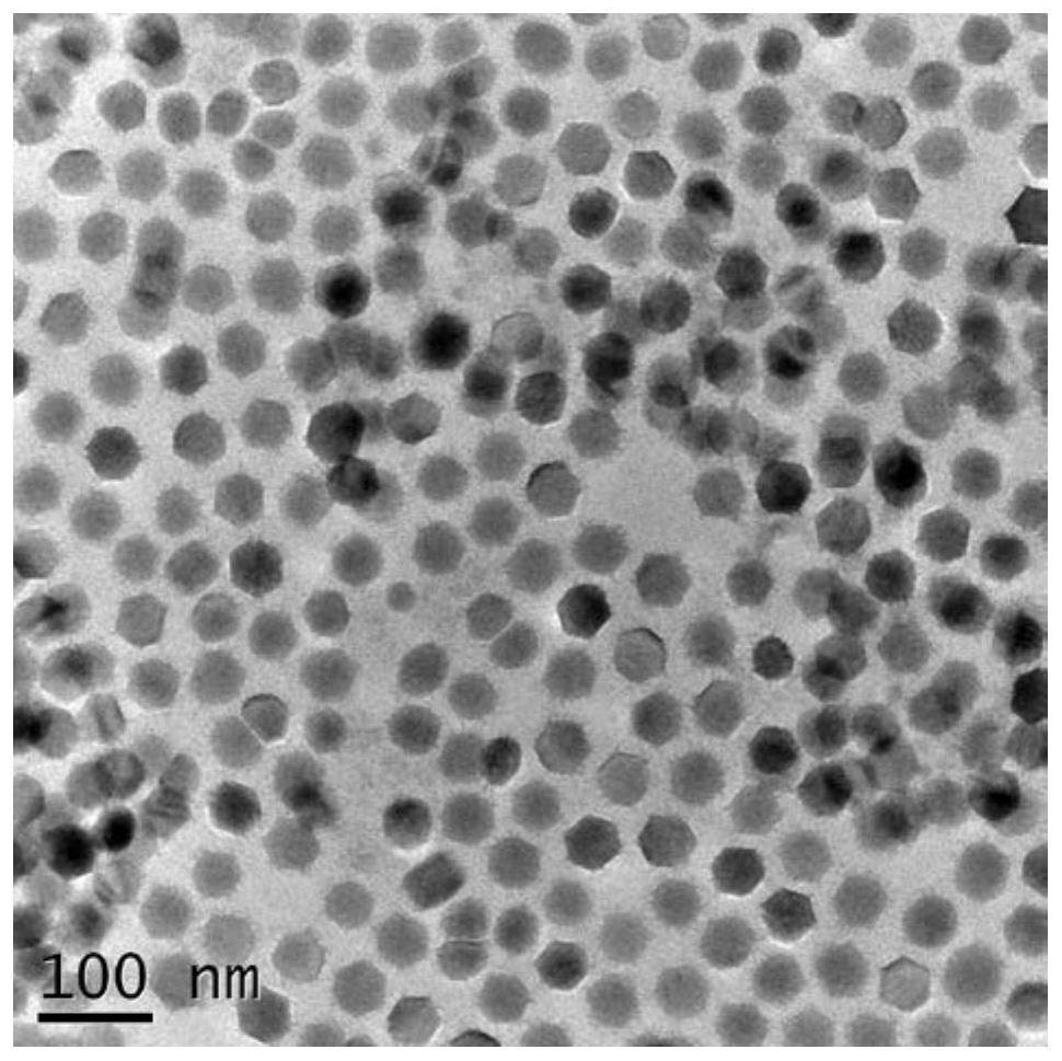 Rare earth photo-thermal nano particle and preparation method thereof