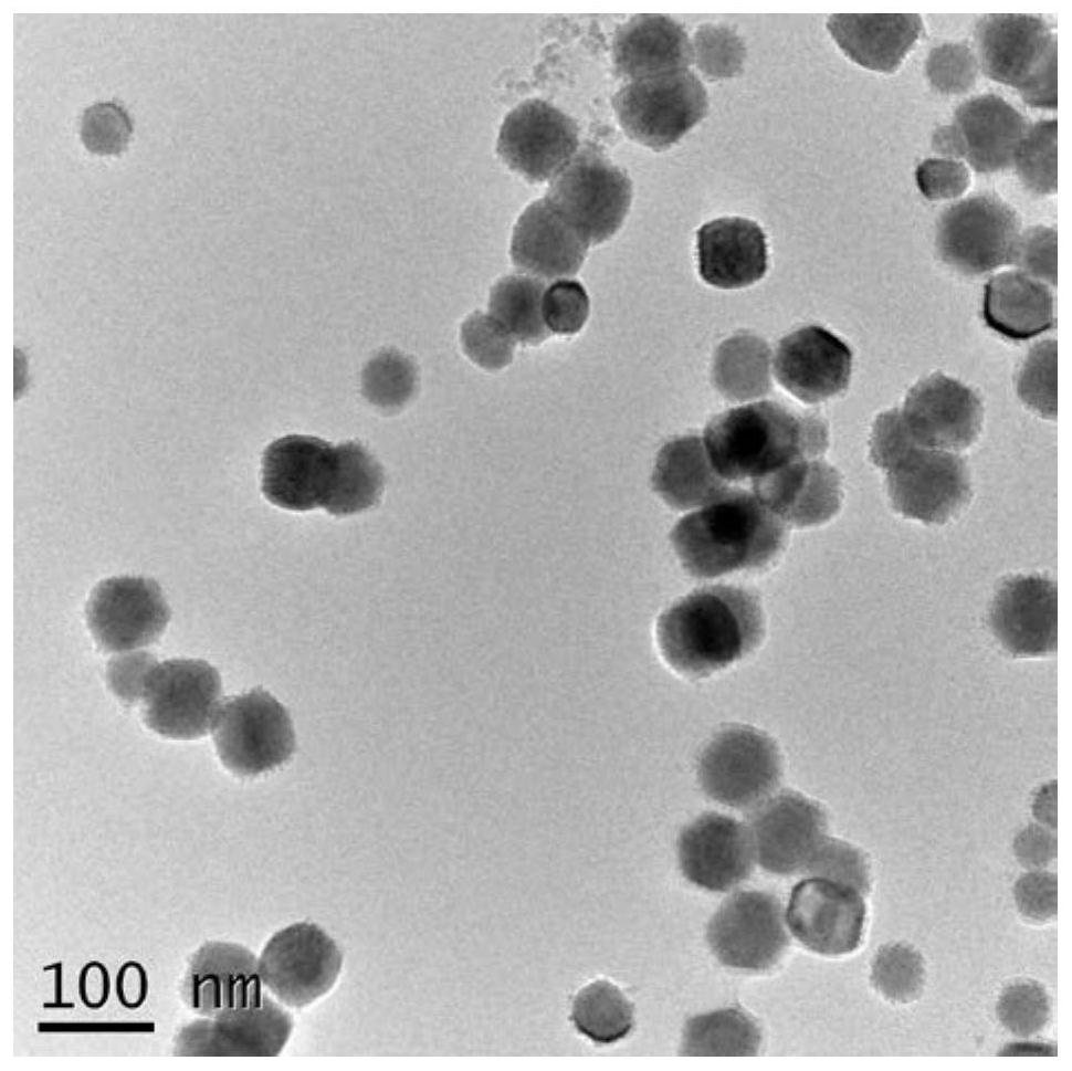 Rare earth photo-thermal nano particle and preparation method thereof