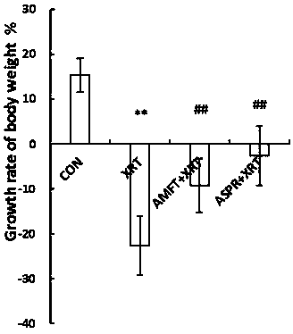 Application of angelica protein to preparation of medicine for assisting tumor therapy