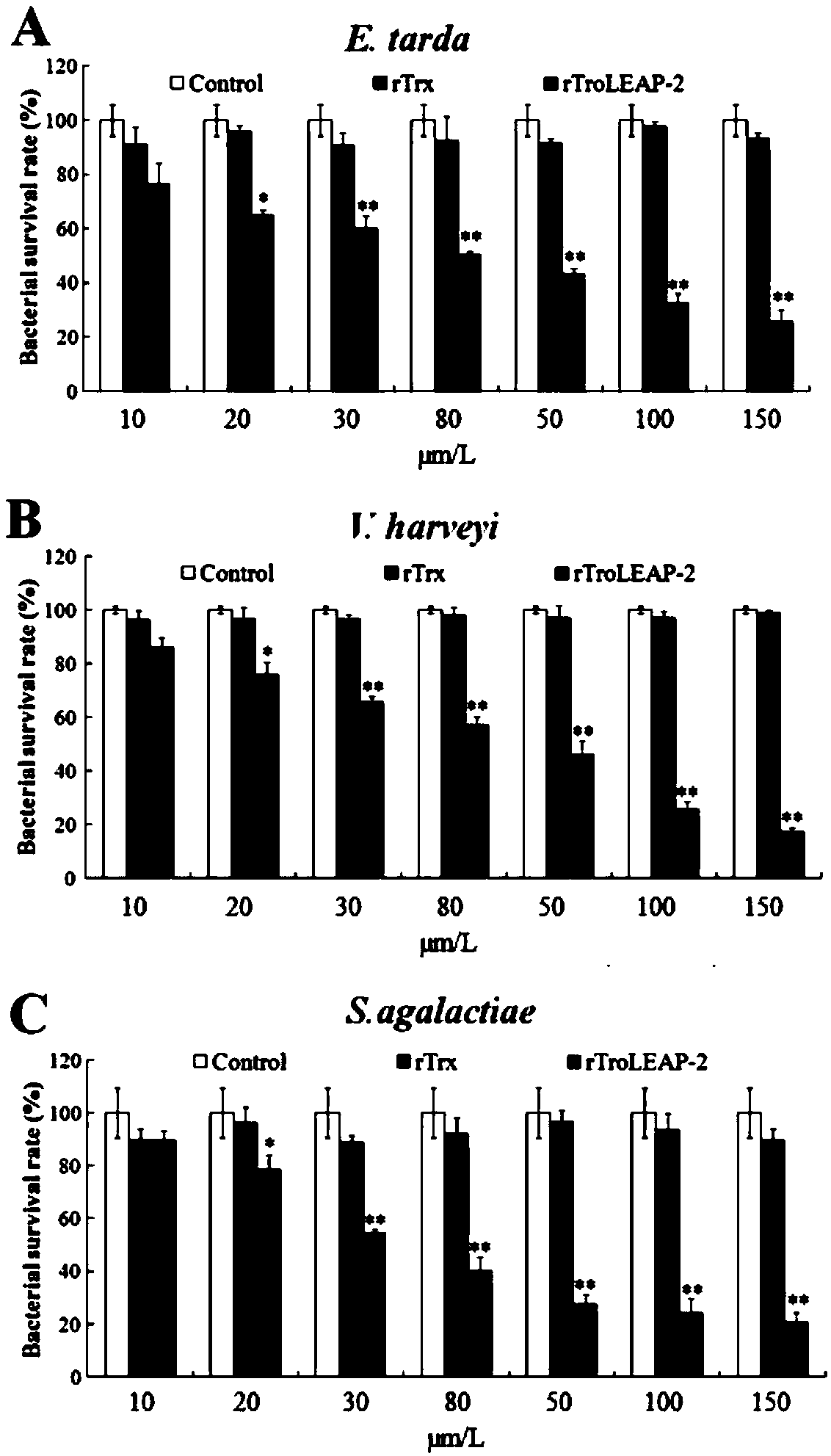 Preparation method of antibacterial peptide gene and encoding peptide and prokaryotic expression thereof Pomfret brandt