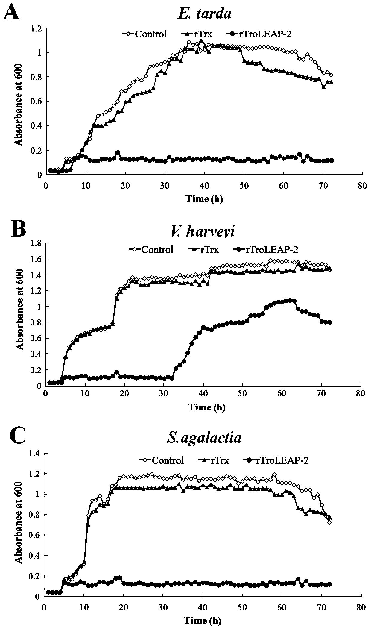 Preparation method of antibacterial peptide gene and encoding peptide and prokaryotic expression thereof Pomfret brandt