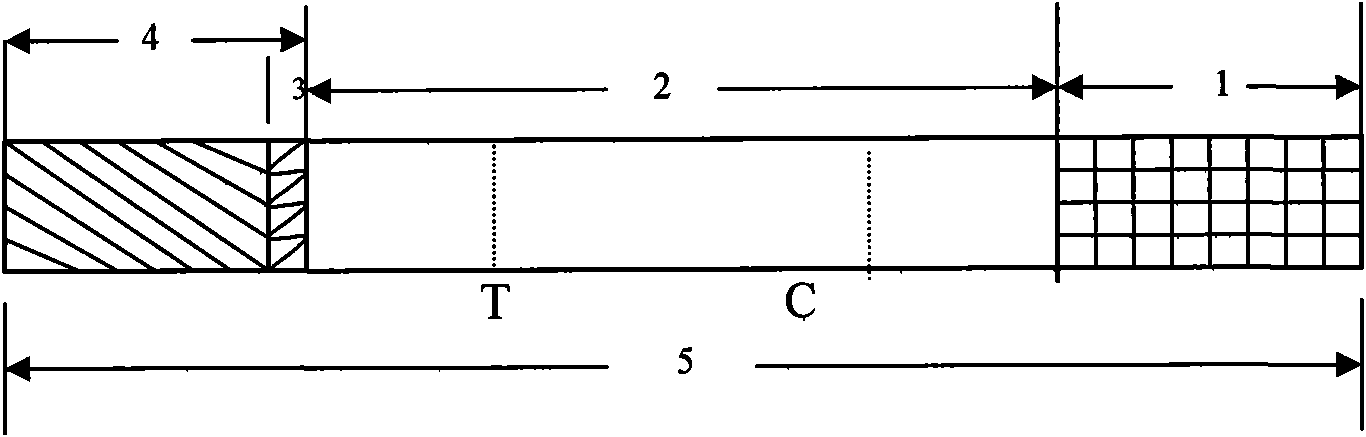 Leptospira IgM antibody quick detection test strip