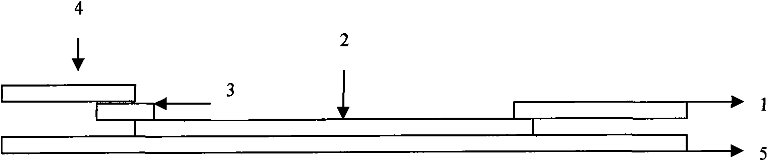 Leptospira IgM antibody quick detection test strip