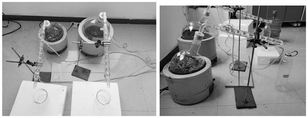 Atomization sterilization and disinfection Dong medicine composition for preventing COVID-19 and influenza