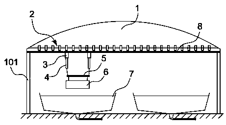 Shrimp catching system