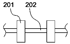 Shrimp catching system