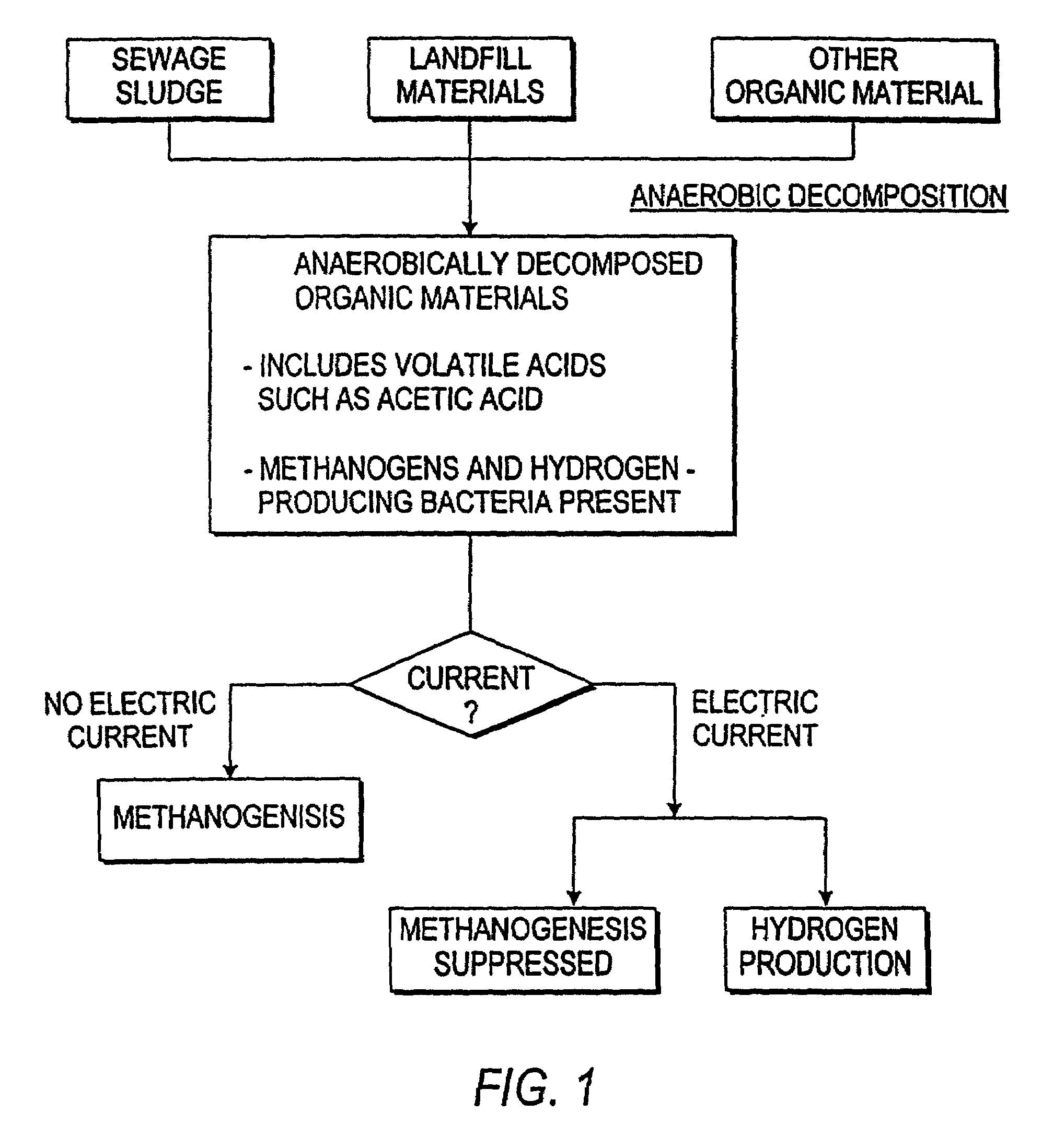 Process for production of hydrogen from anaerobically decomposed organic materials