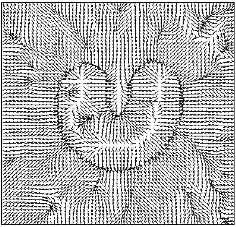 Image segmentation method based on distance potential field and self-adaptive balloon force