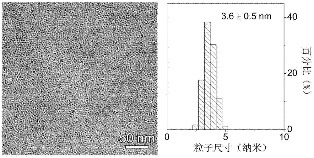 Magnetic nanoparticle magnetic resonance contrast agent and magnetic nanoparticle relaxation rate enhancing method