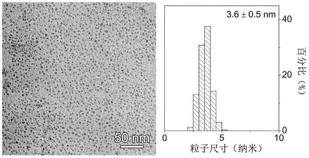 Magnetic nanoparticle magnetic resonance contrast agent and magnetic nanoparticle relaxation rate enhancing method