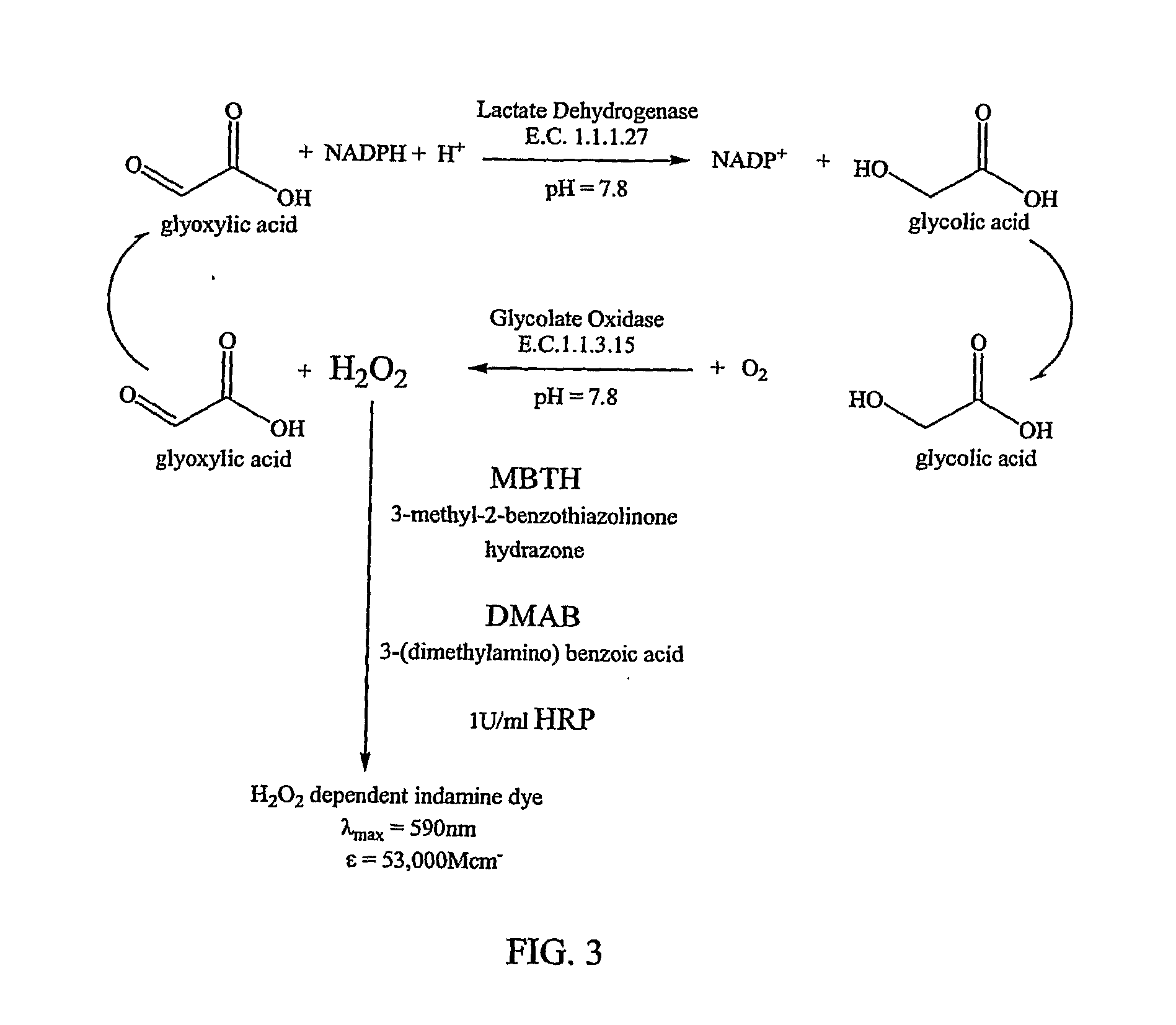 Materials and Methods for Assaying for Glyoxylate