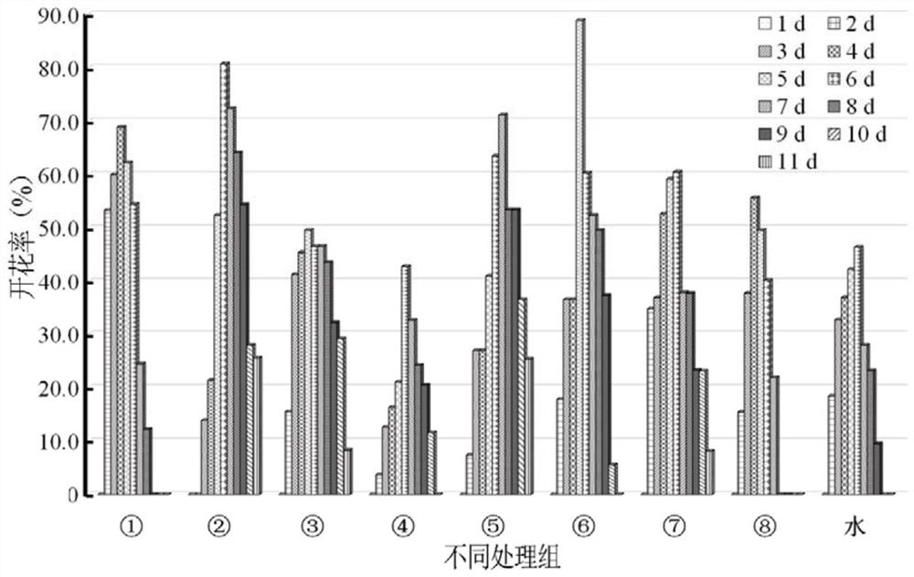 Method for forcing plum blossoms