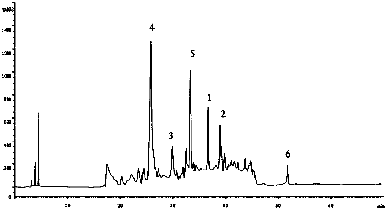 Jujube root extract, extraction and separation method and application thereof