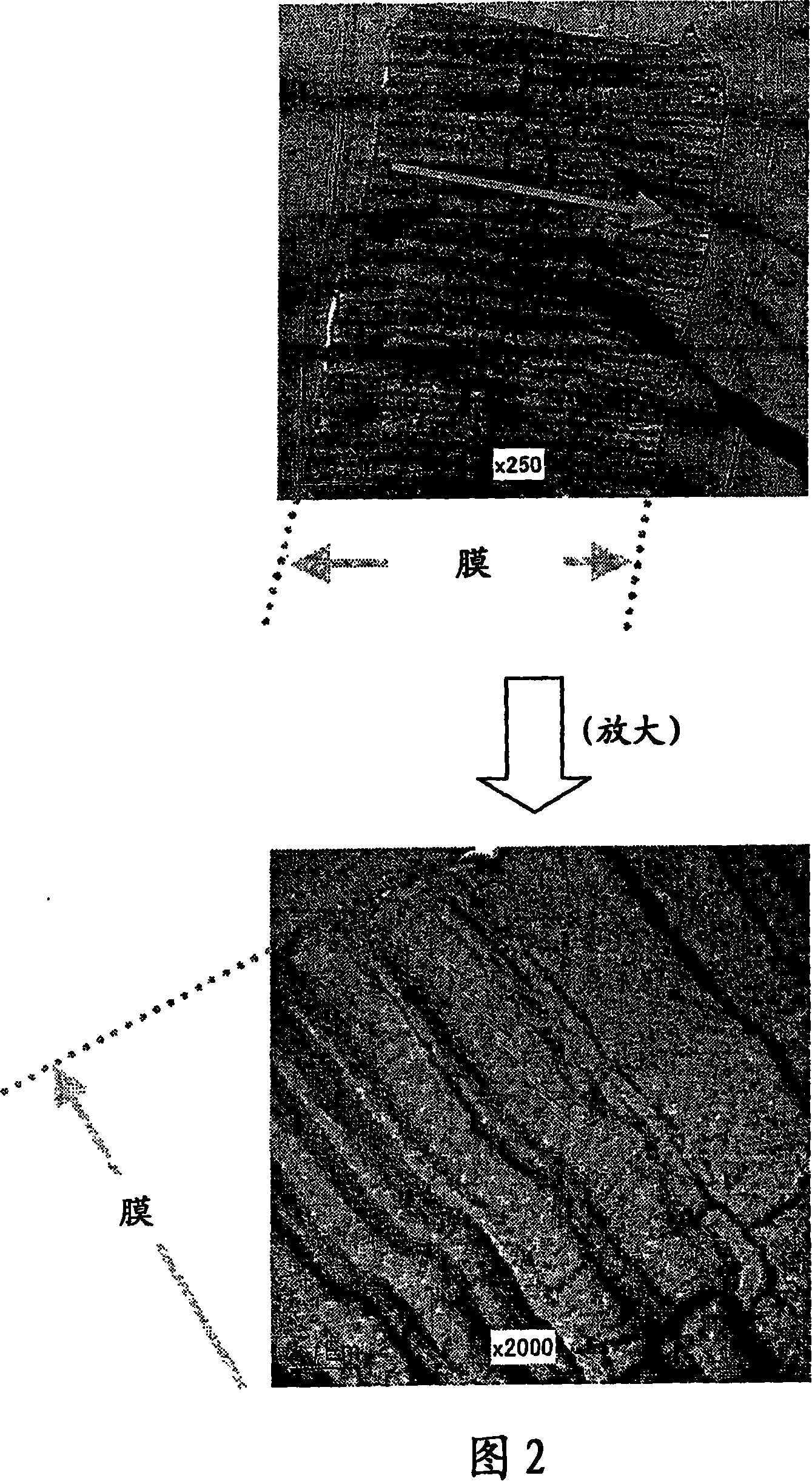 Functional membrane and process for production thereof, and electrolyte membrane for fuel cell and process for production thereof