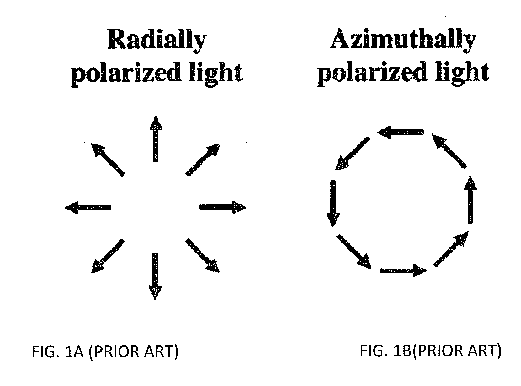 Space-Variant Liquid Crystal Waveplate