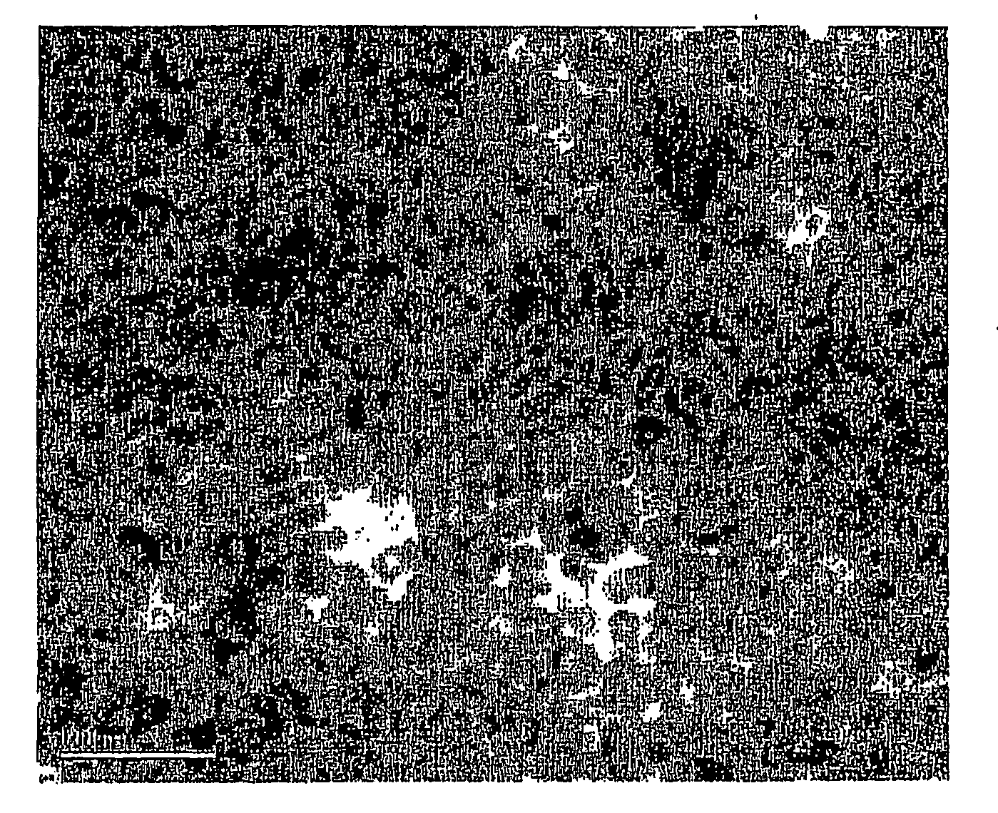 Hollow nanocrystals and method of making