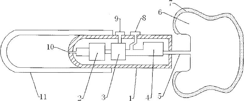 An electric back scrubber