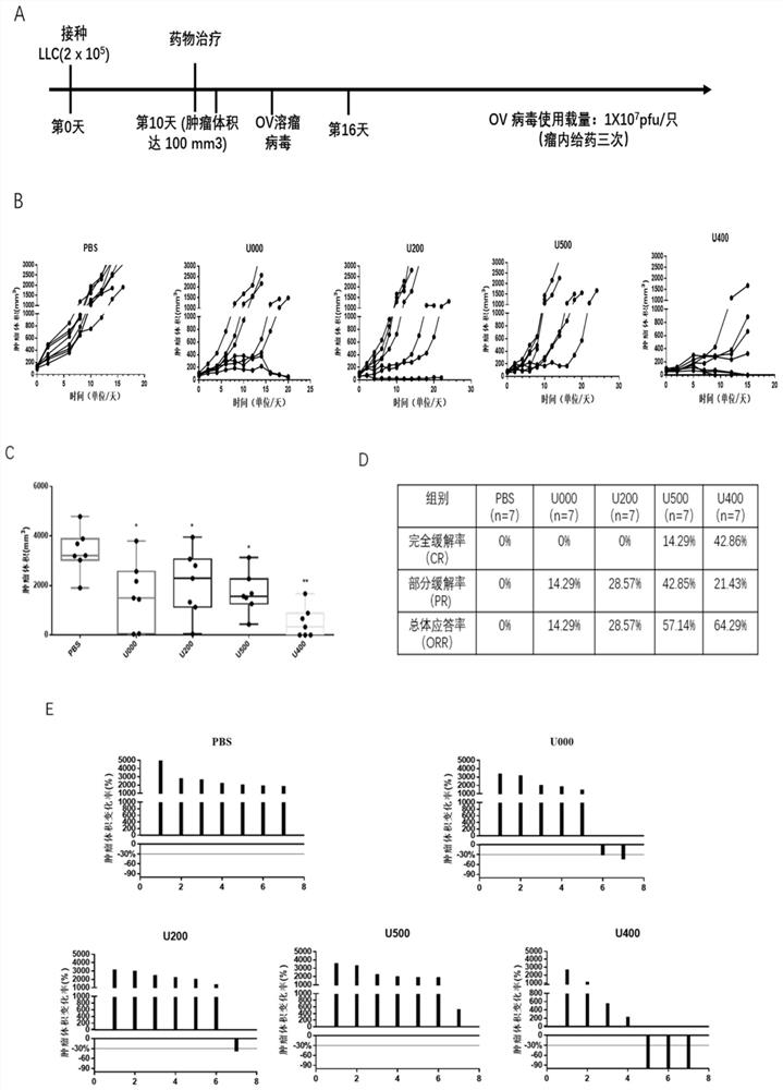 A kind of pharmaceutical composition for treating tumor or cancer and its application