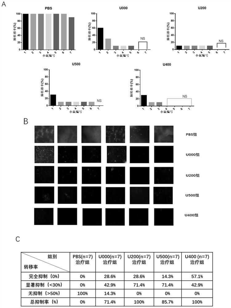 A kind of pharmaceutical composition for treating tumor or cancer and its application