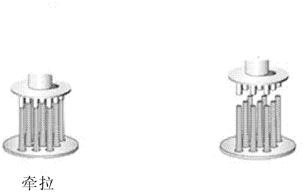 Triamcinolone biodegradable maltose microneedle array and preparation method thereof