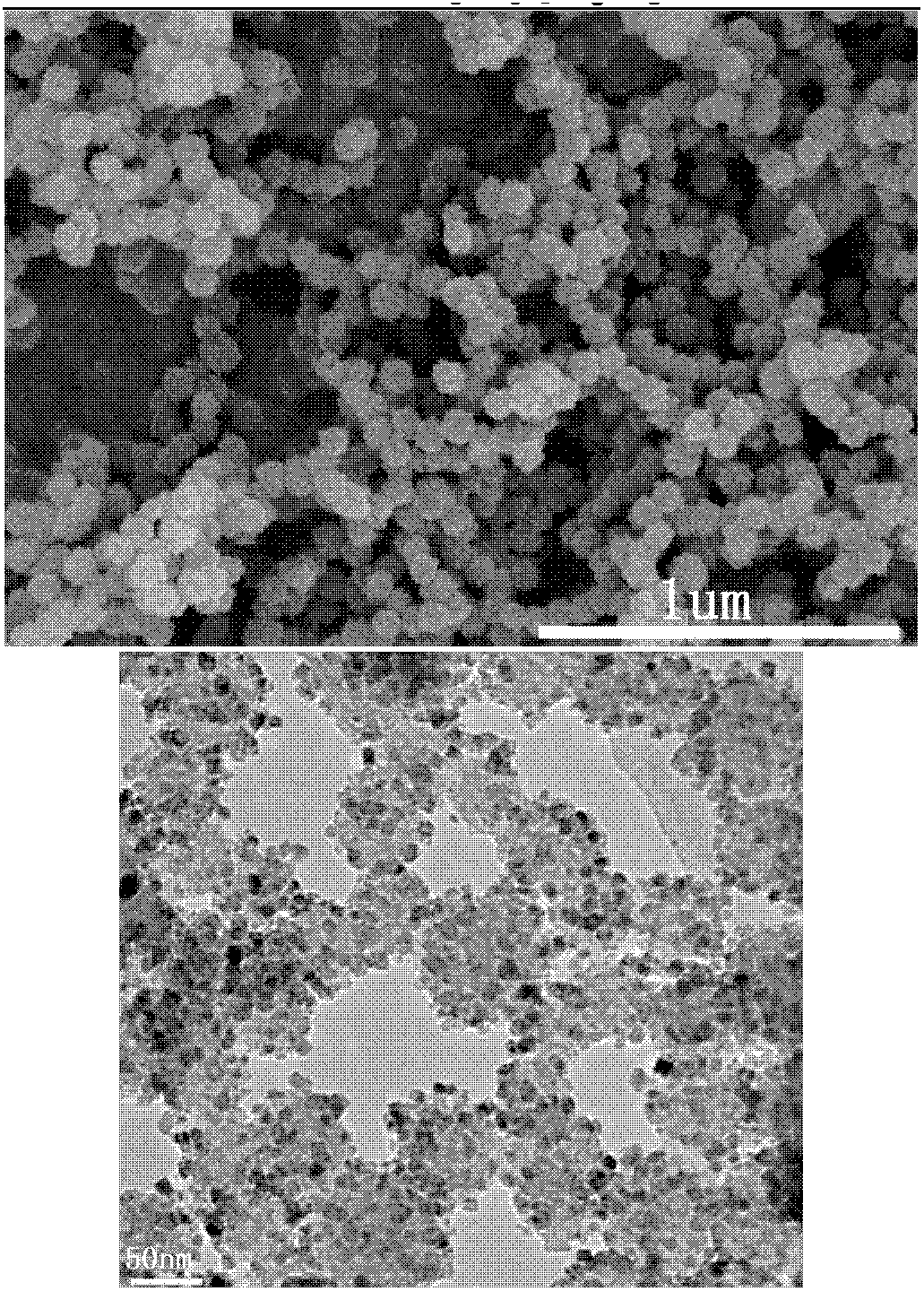 Photocatalyst for visible light transformation and preparation method of same