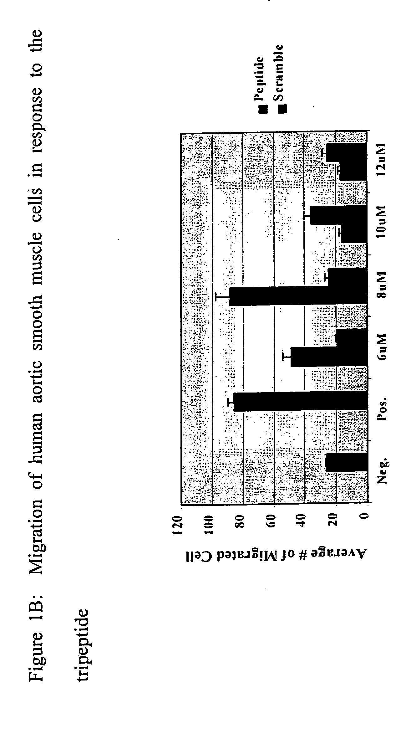 Compositions and methods for promoting myocardial and peripheral angiogenesis