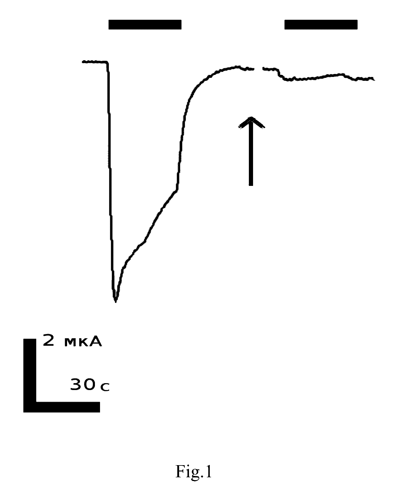 Peptide inhibitors of nicotinic acetylcholine receptor