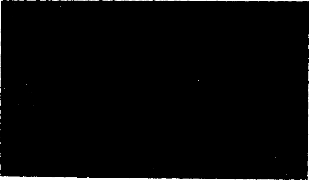 Repairing type lubricant additive and its preparation method