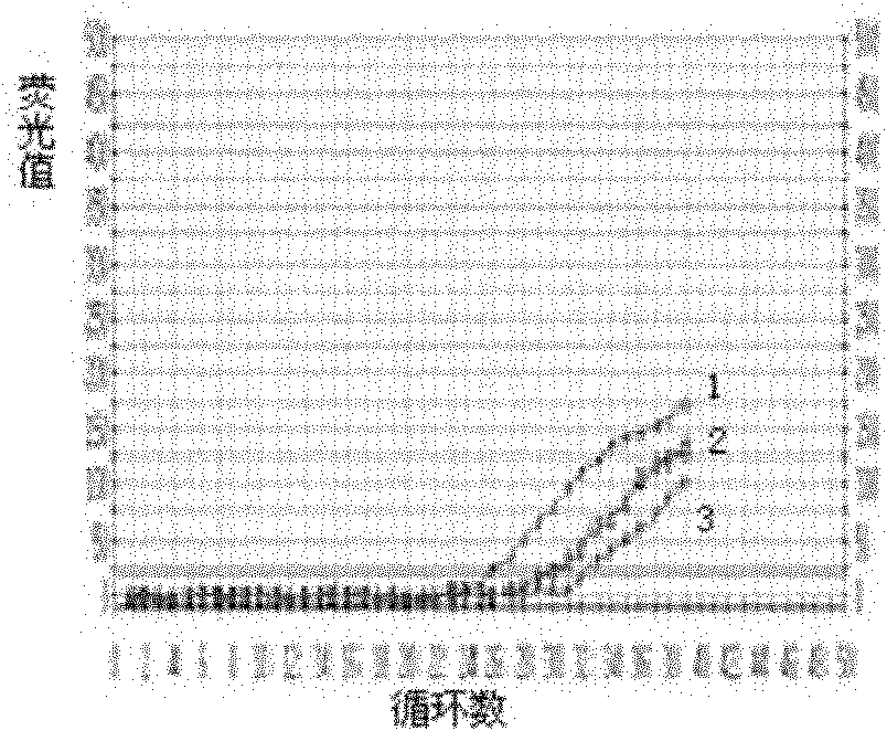 Reagent for detecting francisella tularensis and complex probe and fluorescent quantitative polymerase chain reaction (PCR) method for detecting francisella tularensis